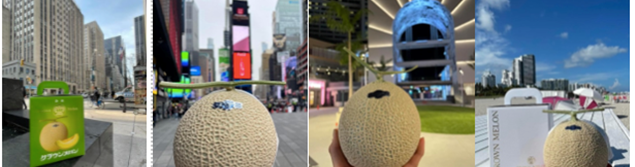 Yosuze Suzuki, Displaying crown melon across landmarks in the United States. [Image: Courtesy of Yosuze Suzuki]